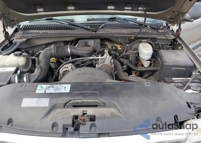 2GTEC19XX31344852: 43311243