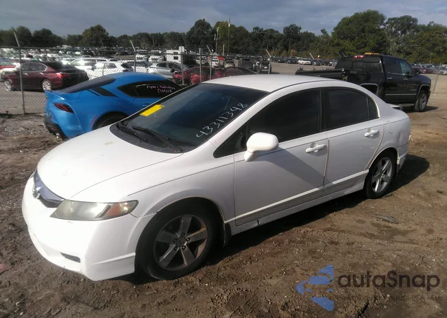 2HGFA1F59BH516907: 43311348