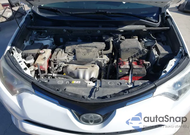 JTMWFREV2JD132897: 43310664