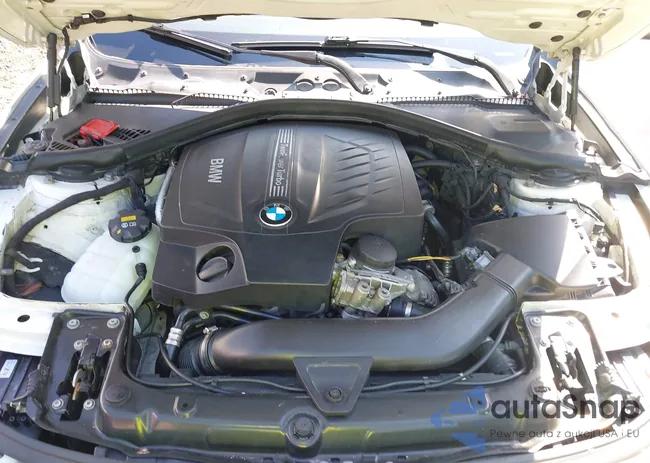 WBA3B9C51FP705020: 43311788