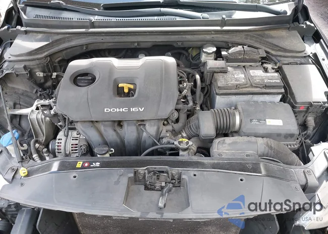 5NPD84LF4JH258561: 43312230