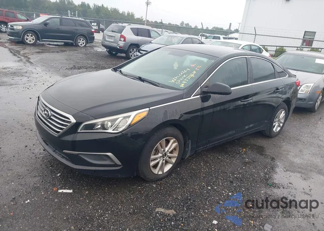 5NPE24AF3GH287860: 43311610