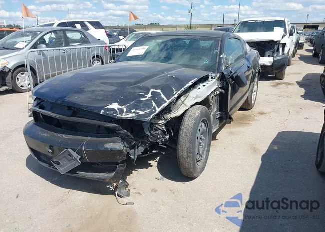 1ZVBP8AM0C5221509: 43311750