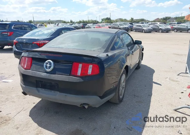 1ZVBP8AM0C5221509: 43311750