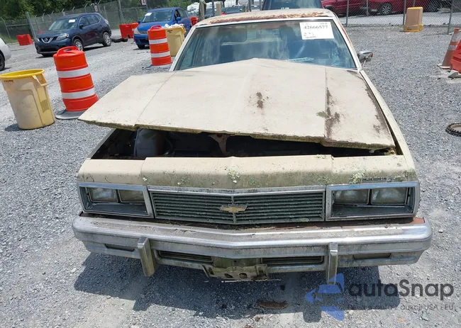 1L69L9S310617: 43312953