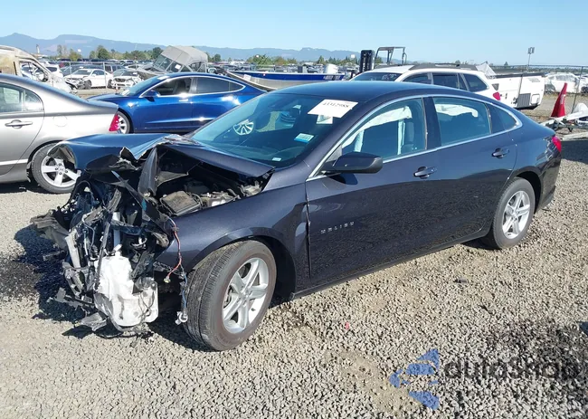 1G1ZD5ST3PF213198: 43312988