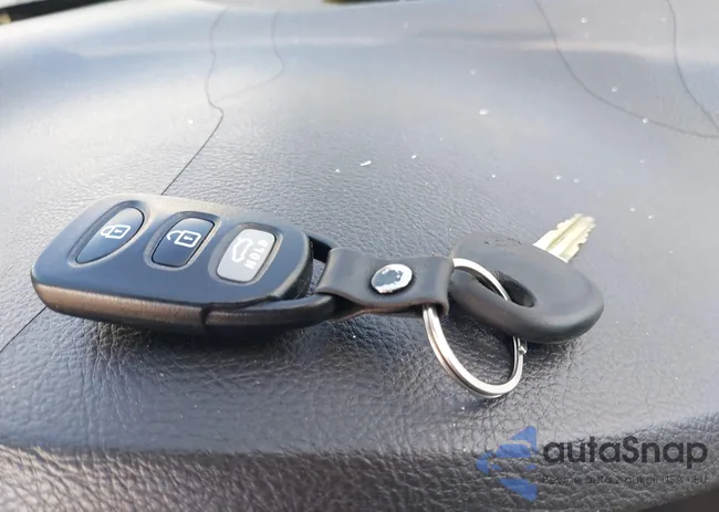 5NPET4AC1AH629039: 43313052