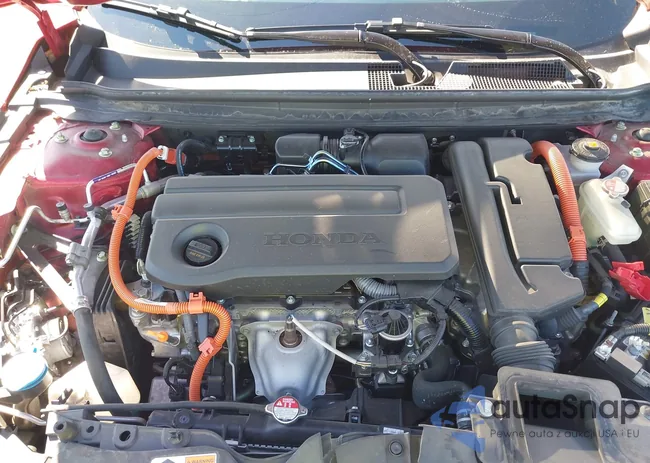 1HGCY2F57RA054456: 43313079