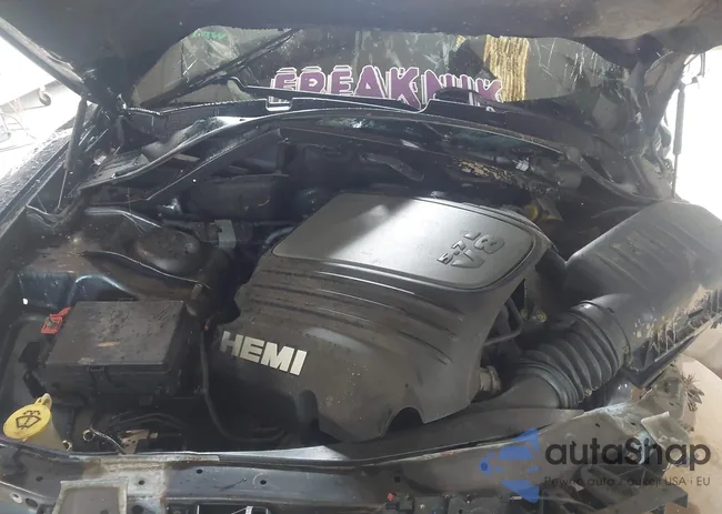 2C3CDXCT1HH667204: 43313131