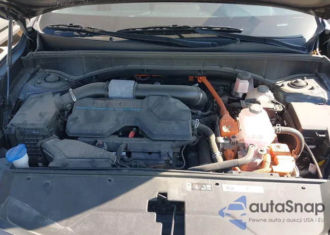 KNDRH4LG0P5198740: 43313264