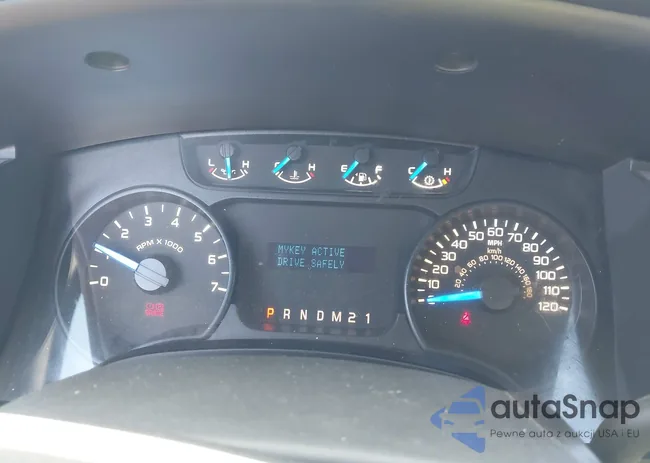 1FTMF1CF6EFC66570: 43313870