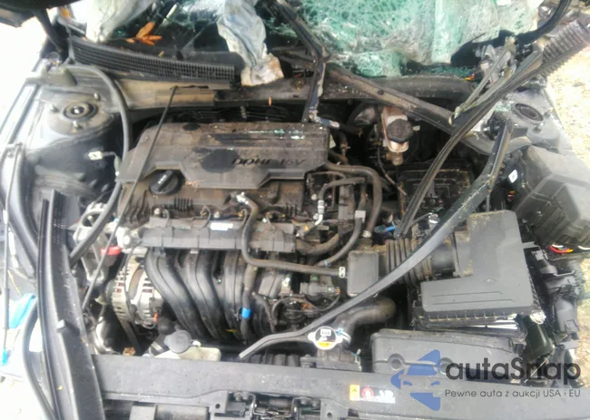 5NPLM4AG0NH058303: 43313978