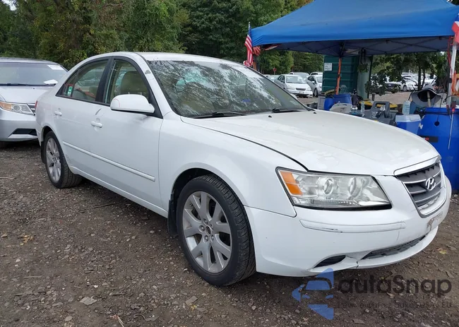 5NPET46C49H546452: 43313538