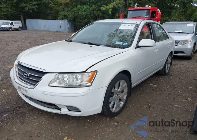 5NPET46C49H546452: 43313538