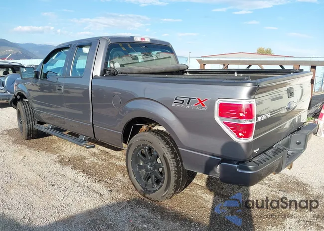 1FTFX1EF1EFC96644: 43313552