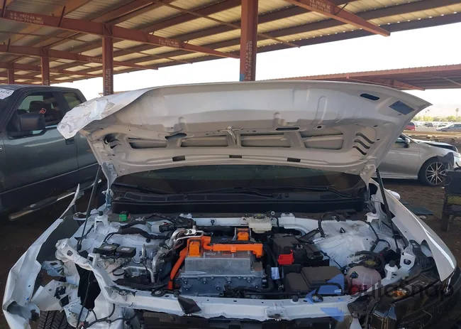 3GPJHVRJ8S5120440: 43315281