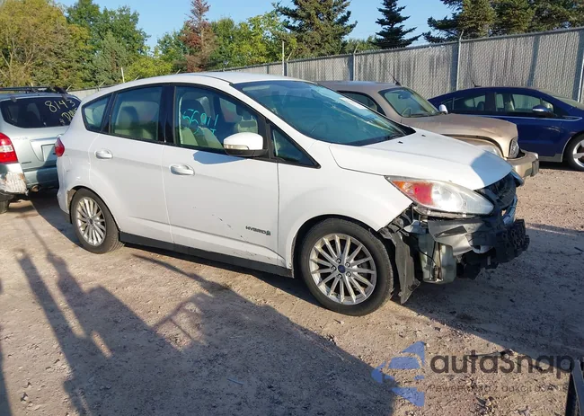 1FADP5AU0DL523119: 43315594