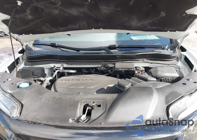 5FNYF7H21MB005974: 43316834