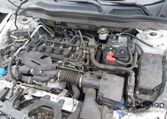 1HGCV1F36NA004935: 43316865