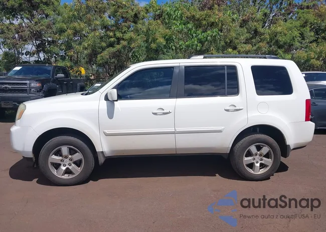 5FNYF4H66AB033234: 43317079