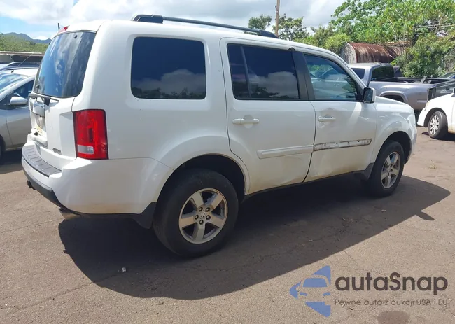 5FNYF4H66AB033234: 43317079