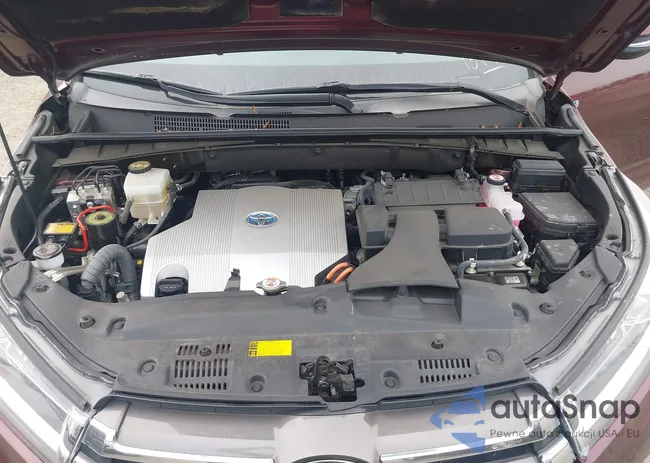 5TDDGRFH4KS061379: 43317154