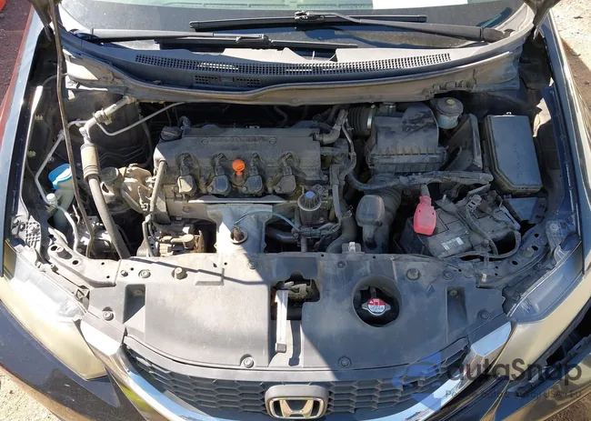 19XFB2F55FE707663: 43317178