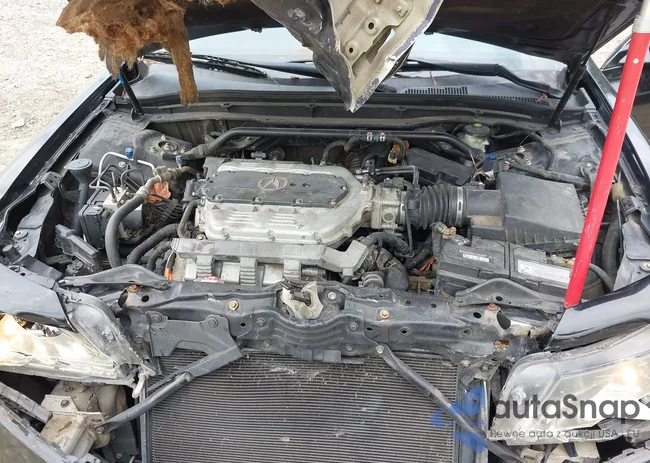 19UUA8F29BA006982: 43317743