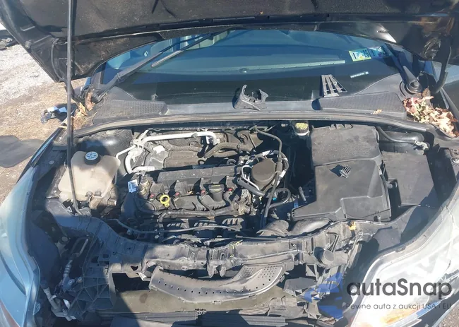 1FADP3F29EL297854: 43318132