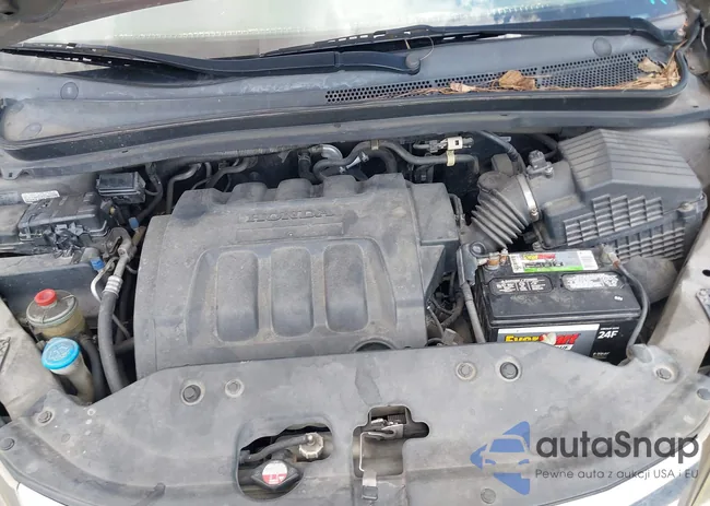 5FNRL38419B012891: 43317384