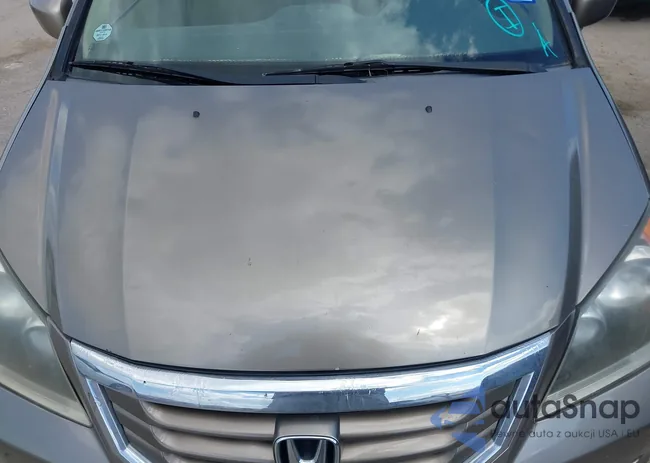 5FNRL38419B012891: 43317384