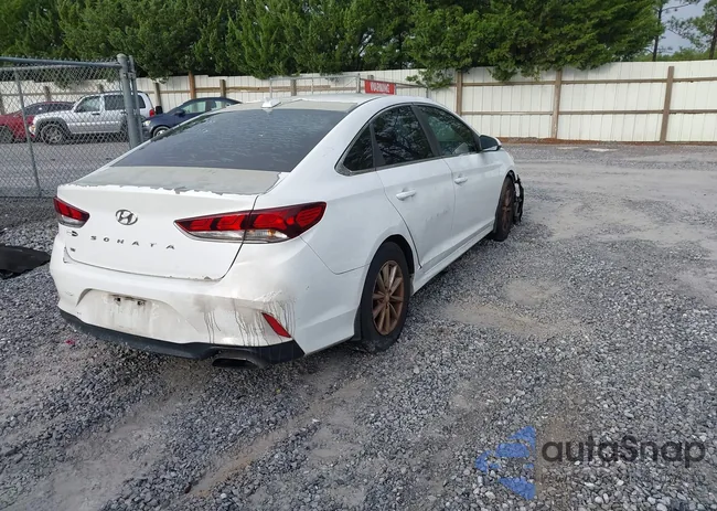 5NPE24AF9JH619209: 43317544