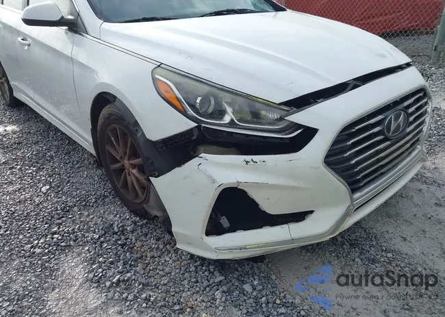 5NPE24AF9JH619209: 43317544