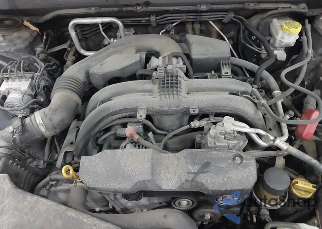 4S3BNAF63K3021177: 43317580