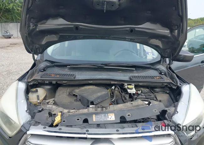 1FMCU0GD1HUD03184: 43319071