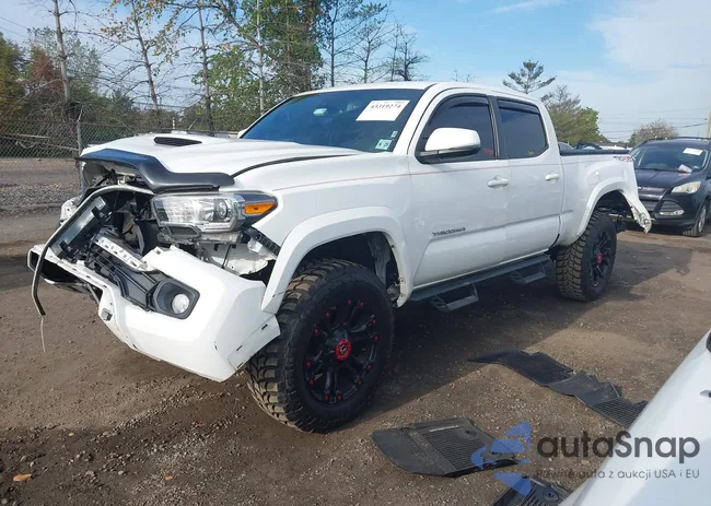 3TMDZ5BNXLM092409: 43319274