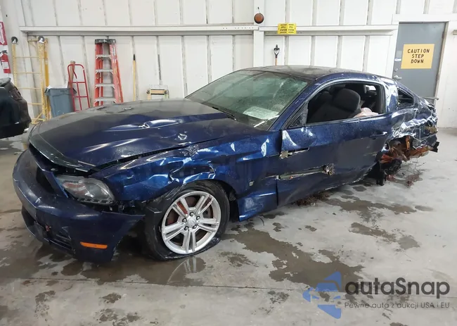 1ZVBP8AM9B5105482: 43318543