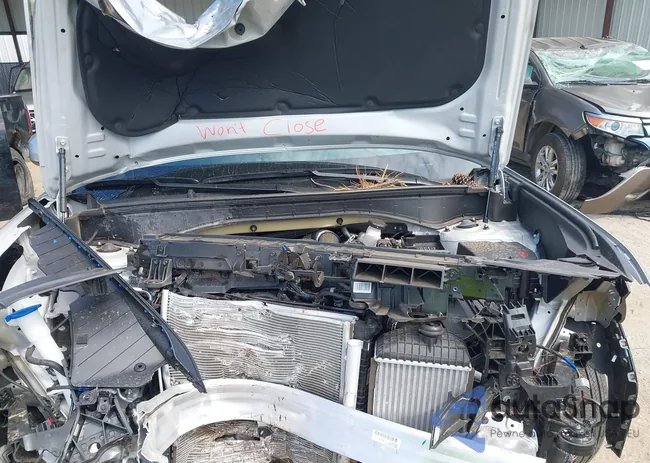 5NMP24GL4SH149384: 43318593