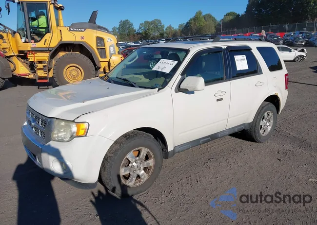 1FMCU9EG5BKB77254: 43319969