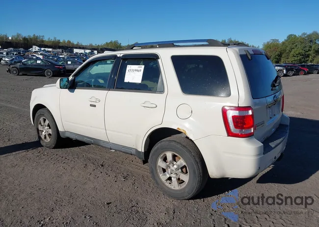 1FMCU9EG5BKB77254: 43319969