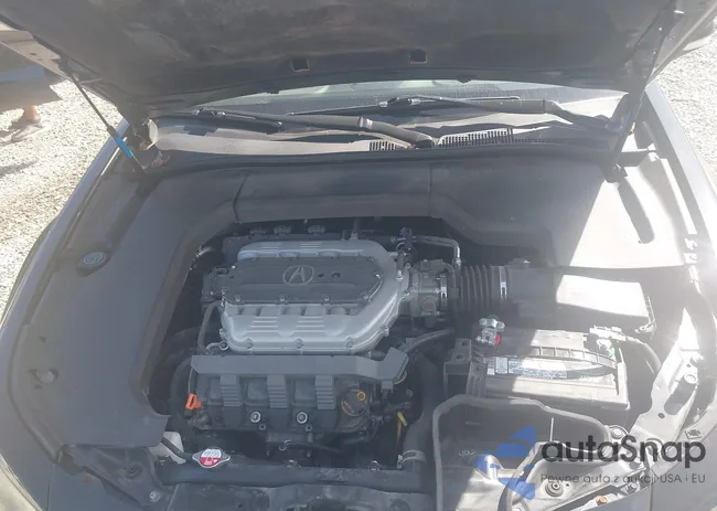 19UUA8F50CA032155: 43319626