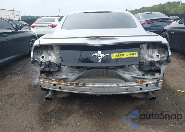 1FA6P8AM3F5389076: 43320824