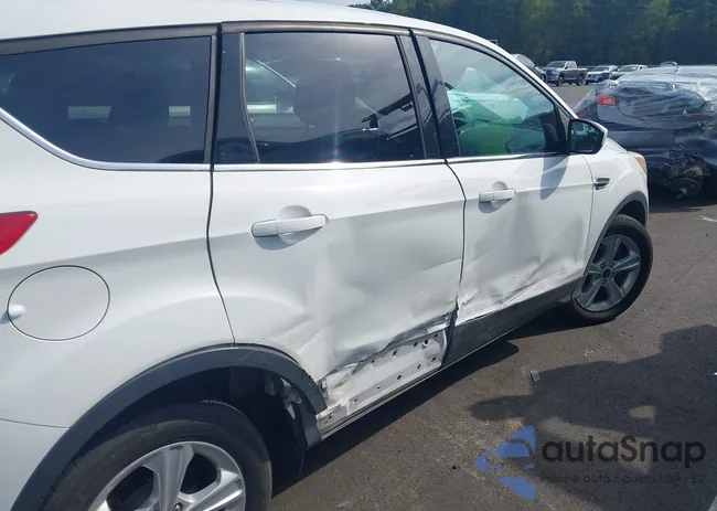 1FMCU9G91DUC87319: 43320457