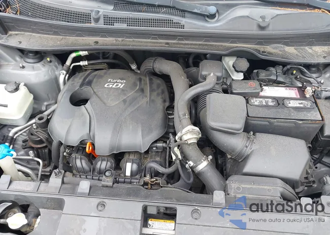 KNDPC3A62B7162538: 43321832