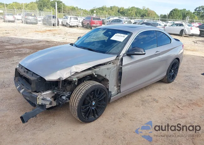 WBA1F9C50GV545379: 43322158