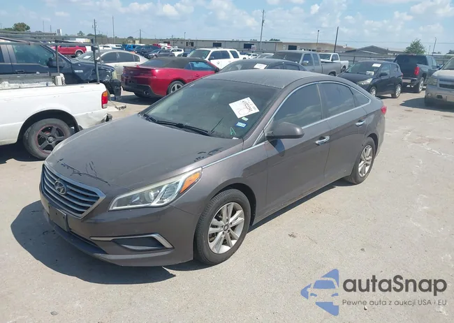 5NPE24AF0GH365480: 43322251