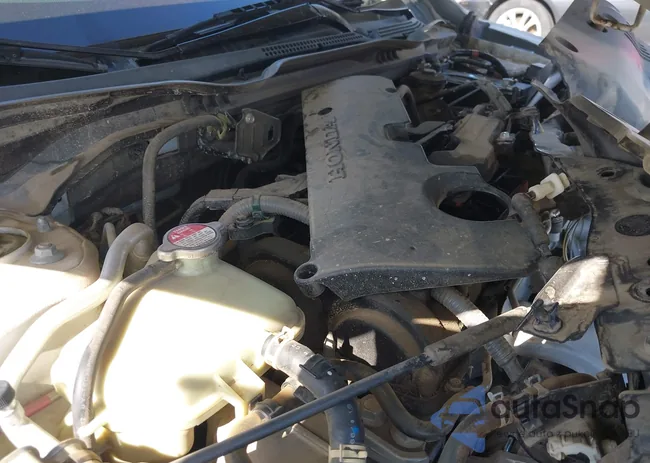 19XFC2F52HE200588: 43321343