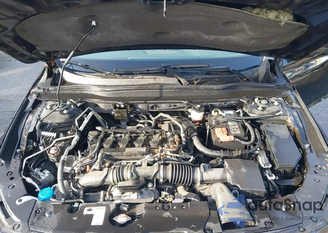 1HGCV1F37KA142219: 43323098