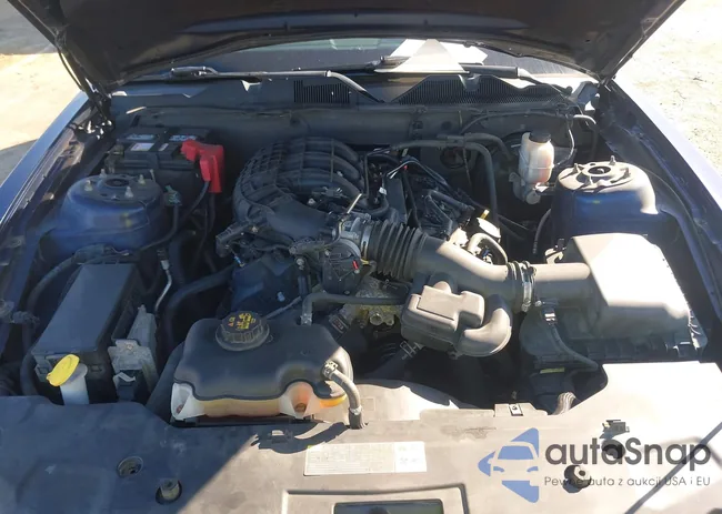 1ZVBP8AM0C5241856: 43323317