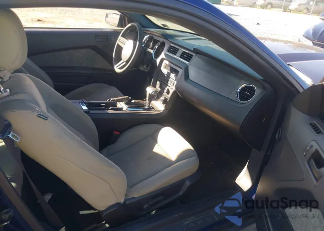 1ZVBP8AM0C5241856: 43323317